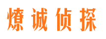 莱西私家侦探